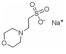 Mes-NA 2 CAS 71119-23-8 όξινο άλας νατρίου Ethanesulfonic (ν-Morpholino)